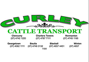 Curley Cattle Transport logo